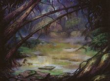 Swamp