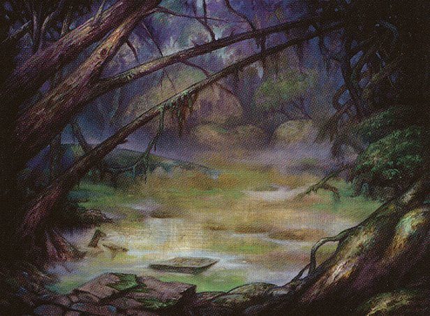 Swamp