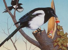 Thieving Magpie