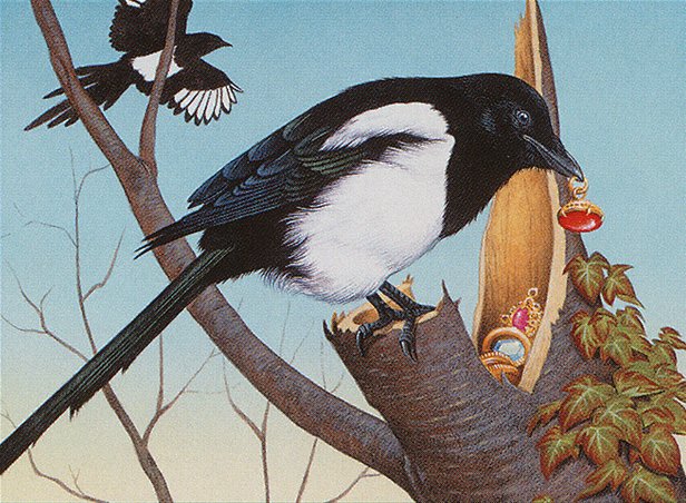 Thieving Magpie