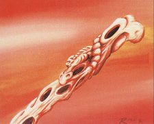 Bone Flute