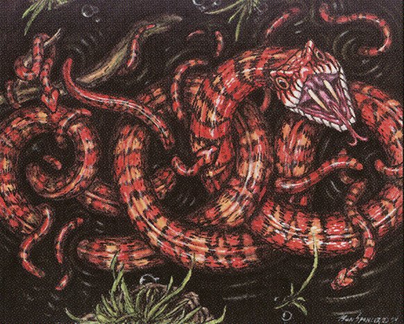 Marsh Viper