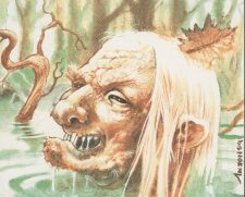 Scarwood Hag
