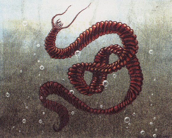 Water Wurm