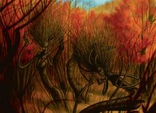 Dryad Arbor