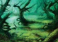 Flooded Grove