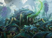 Scute Swarm