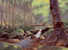 Tranquil Thicket