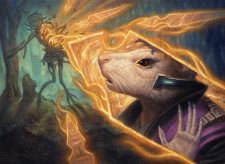 Shardmage’s Rescue