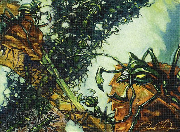 Infested Roothold