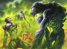 Shriveling Rot