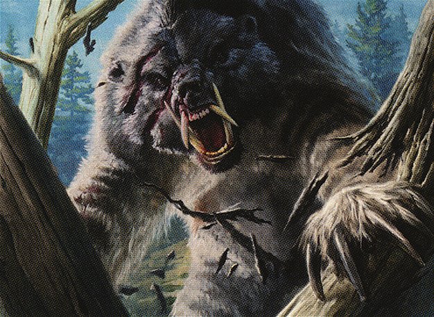 Dragon-Scarred Bear