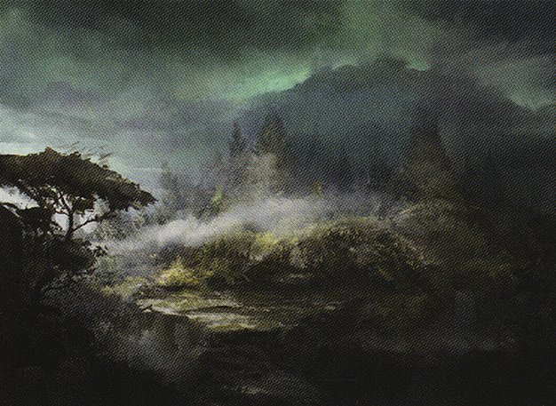 Forest