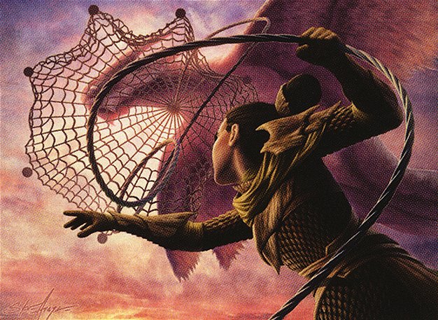 Spidersilk Net