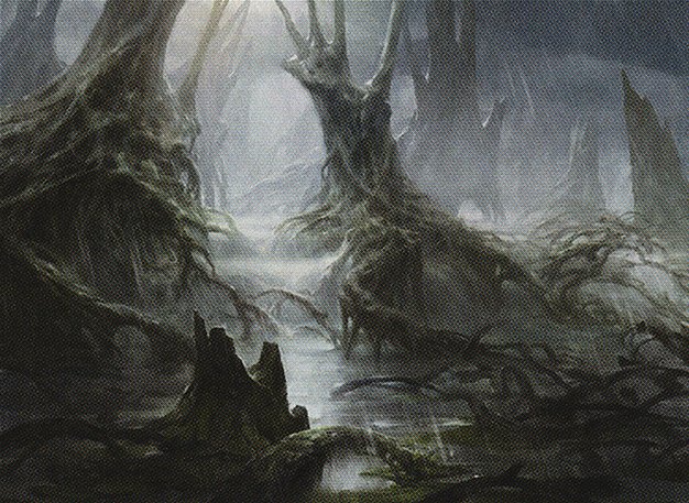 Swamp