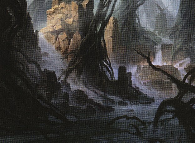 Swamp