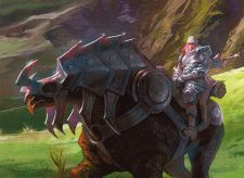 Lightwielder Paladin