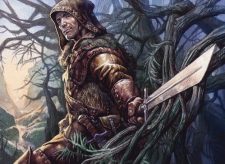 Borderland Ranger