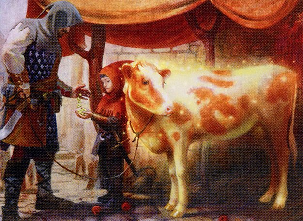 Bartered Cow
