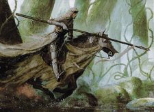 Deathless Knight
