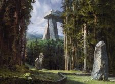 Forest