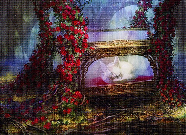 Glass Casket