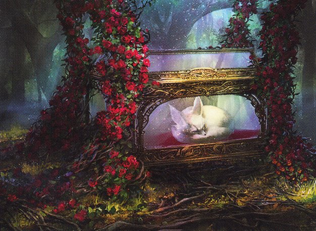 Glass Casket