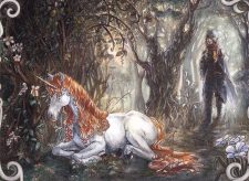 Lonesome Unicorn // Rider in Need