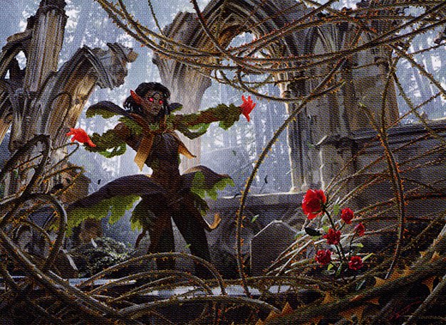Rosethorn Acolyte // Seasonal Ritual