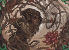 Rosethorn Acolyte // Seasonal Ritual