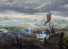 Swamp