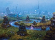 Swamp