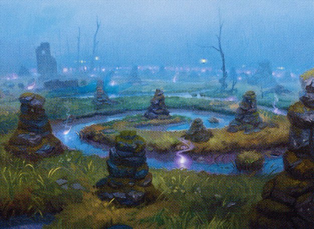 Swamp