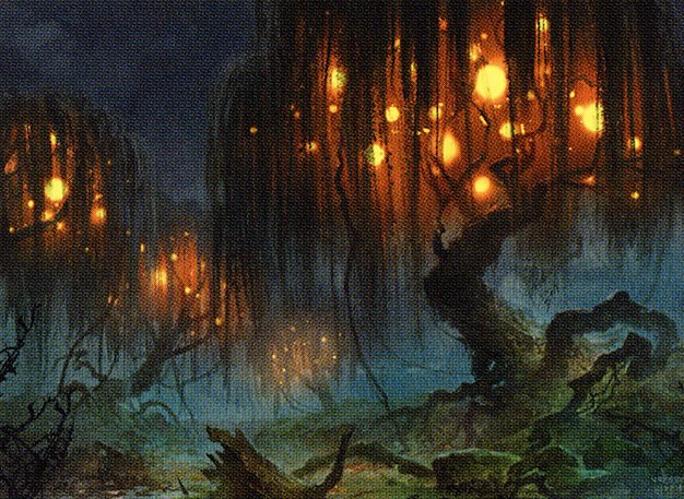 Swamp