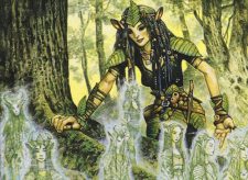 Heritage Druid