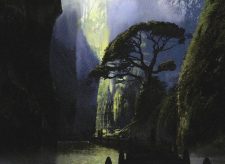 Jungle Hollow