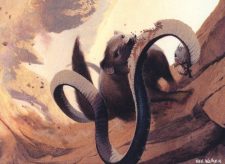 Nimble Mongoose