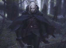 Timberwatch Elf