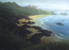 Tranquil Cove