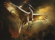 Dawn Gryff