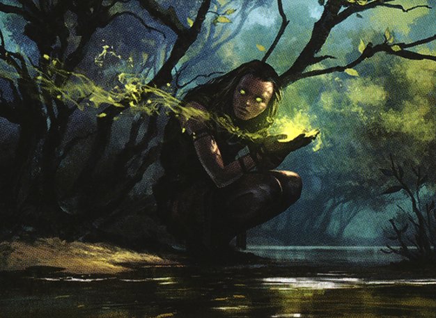 Primal Druid