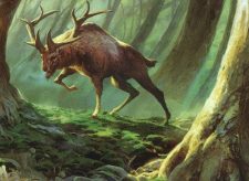 Somberwald Stag