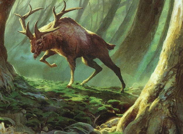 Somberwald Stag