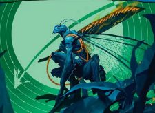 Genemorph Imago