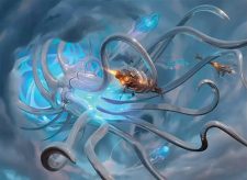 Mechanozoa