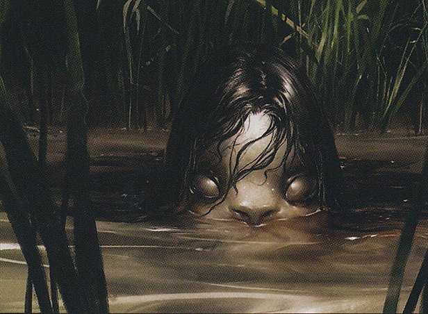 Cold-Eyed Selkie