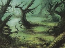 Flooded Grove