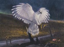 Loyal Gyrfalcon