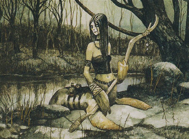 Selkie Hedge-Mage