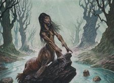 Wistful Selkie